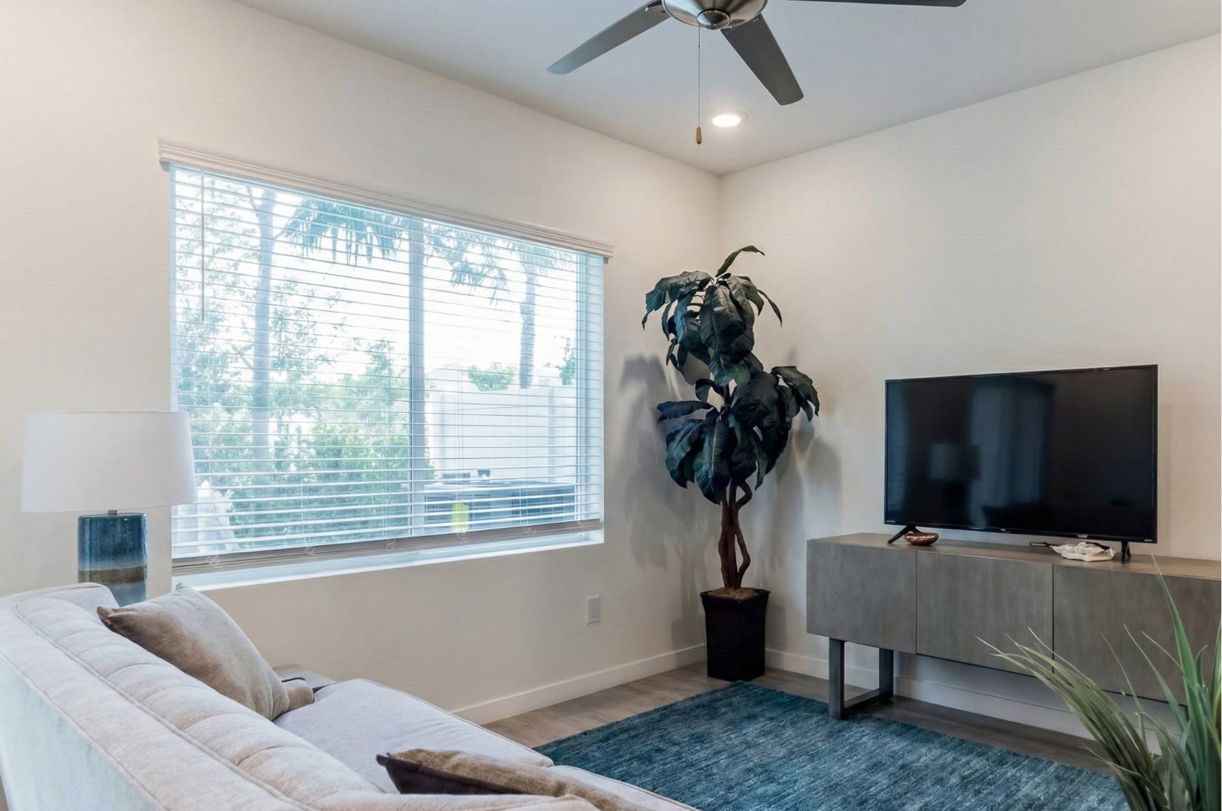 Comfortable, light-filled living room