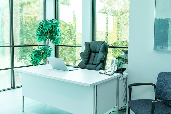 Office at the Crimson Waters residence